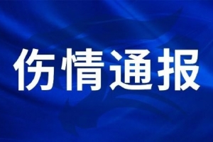 三镇球员刘奕鸣在日常对抗训练中手掌骨折，手术已顺利完成